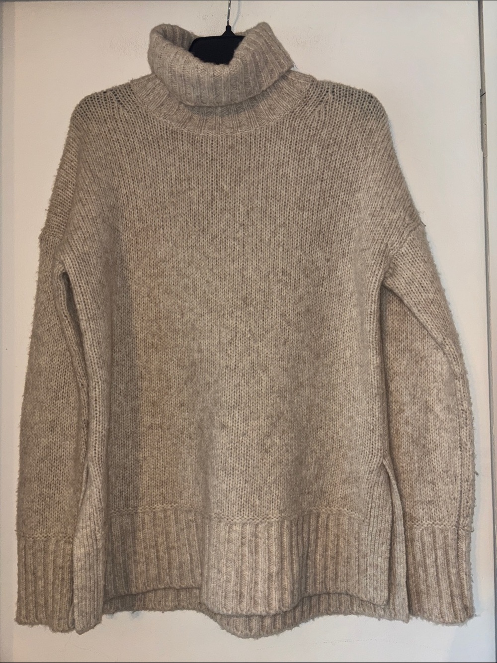 Everlane Wool Turtleneck Sweater
